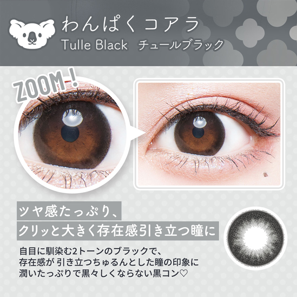 Wscale ダブルスケール Flurry フルーリー 明日花キララ 2025年12月新色 アドキット