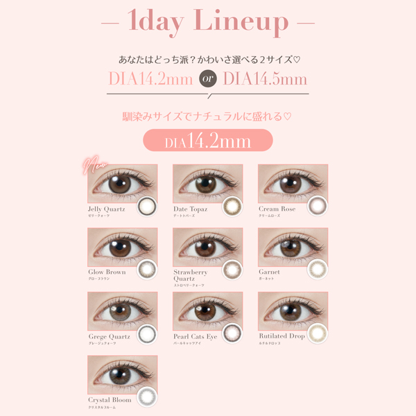 PIA TOPARDS 1day ピア トパーズワンデー 2025年11月新色 アドキット